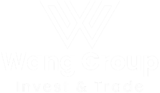 wang-group.no